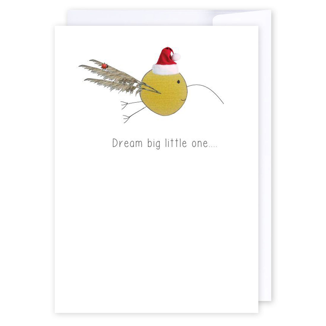 Dream big Santa Kiwi