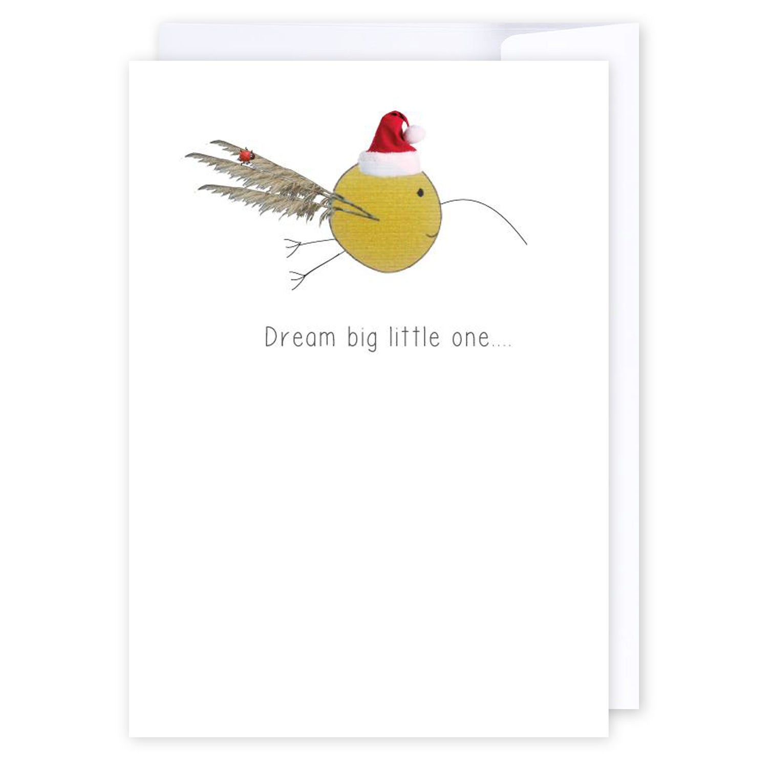 Dream big Santa Kiwi