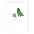 Cheeky Birthday Kea: NZ Made Greeting Card, Birthday, Jandal & Ink, Kiwiana by iCandy Publishing