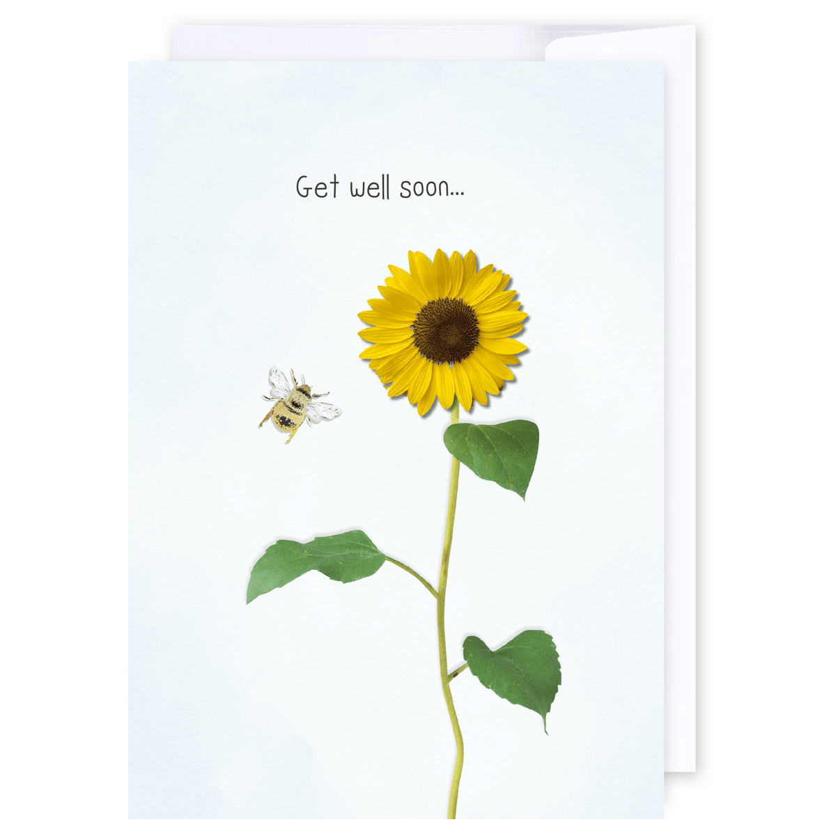 Get well soon: NZ Made Greeting Card, Appreciation, Best sellers, Lisa&