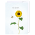 Get well soon: NZ Made Greeting Card, Appreciation, Best sellers, Lisa&