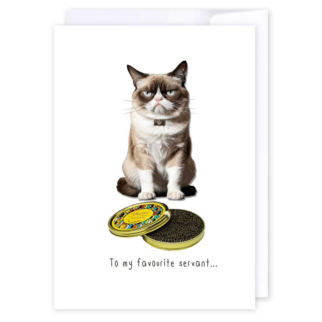 To my favourite servant: NZ Made Greeting Card, Dads, Father&